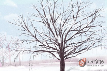 日柱查询 丙子日柱女命好不好字 日柱查询 丙子日柱女命好不好