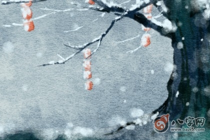 日柱查询 丙子日柱女命好不好 日柱查询 丙子日柱女命好不好